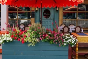 531559455_18114171982506662_4143584785286045619_nlow